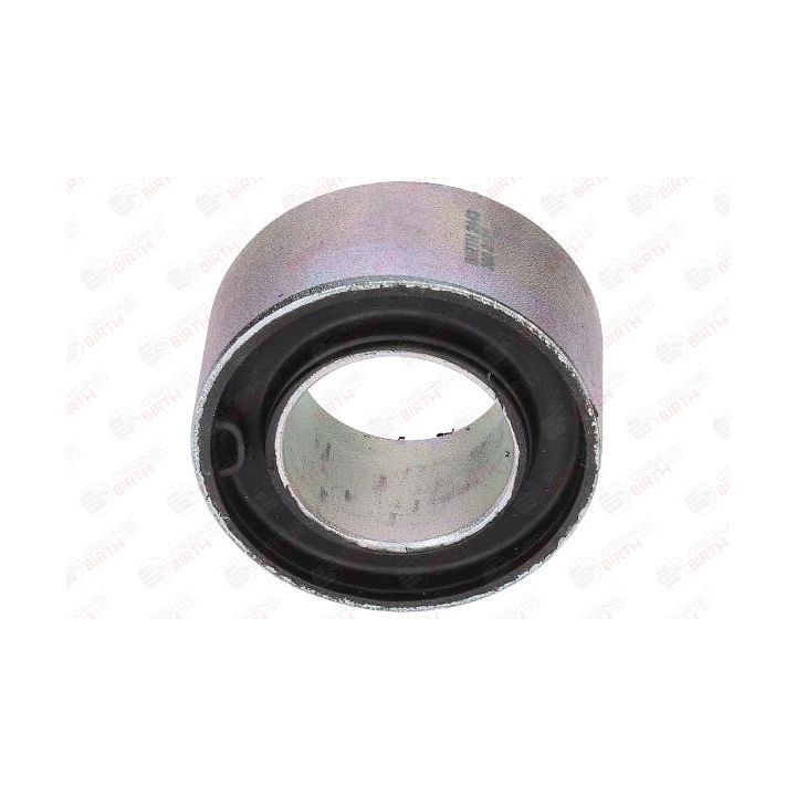 Stebulės laikiklio įvorė BIRTH 2443