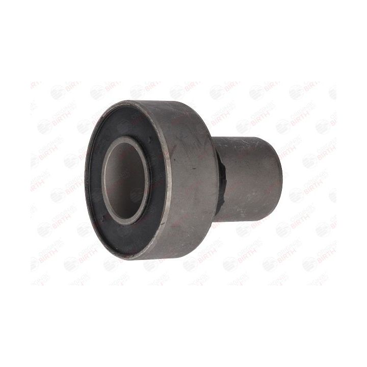 Stebulės laikiklio įvorė BIRTH 2446