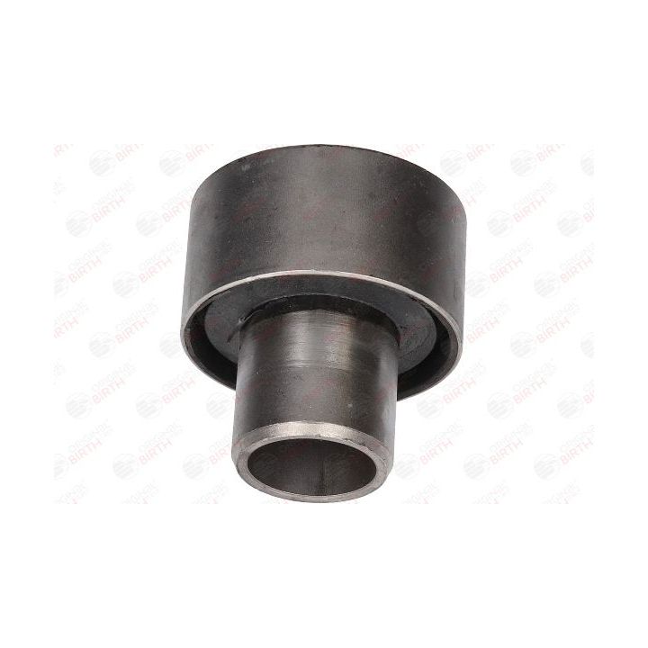 Stebulės laikiklio įvorė BIRTH 2448