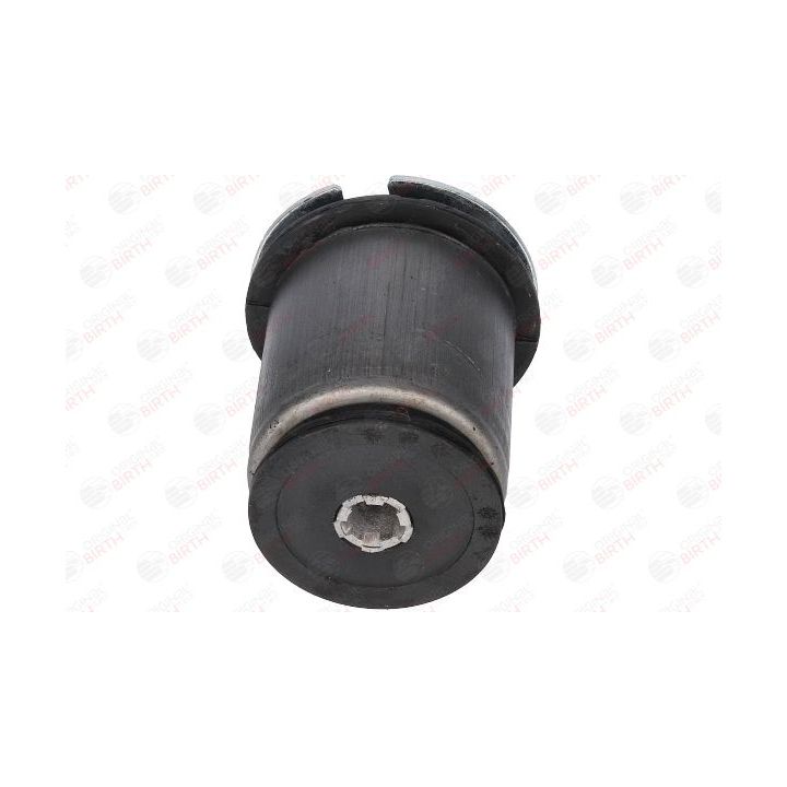 Stebulės laikiklio įvorė BIRTH 50865