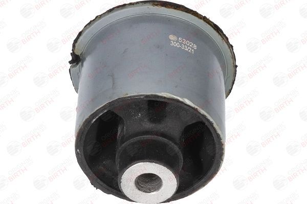 Stebulės laikiklio įvorė BIRTH 53028