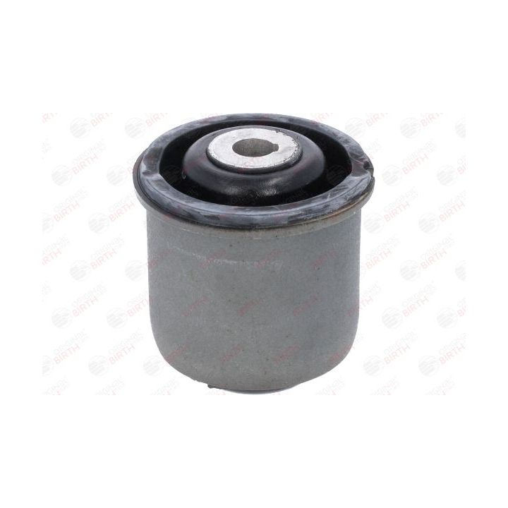 Stebulės laikiklio įvorė BIRTH 53907