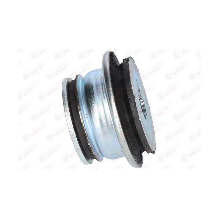 Stebulės laikiklio įvorė BIRTH 5732