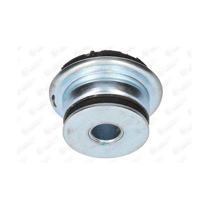 Stebulės laikiklio įvorė BIRTH 5732