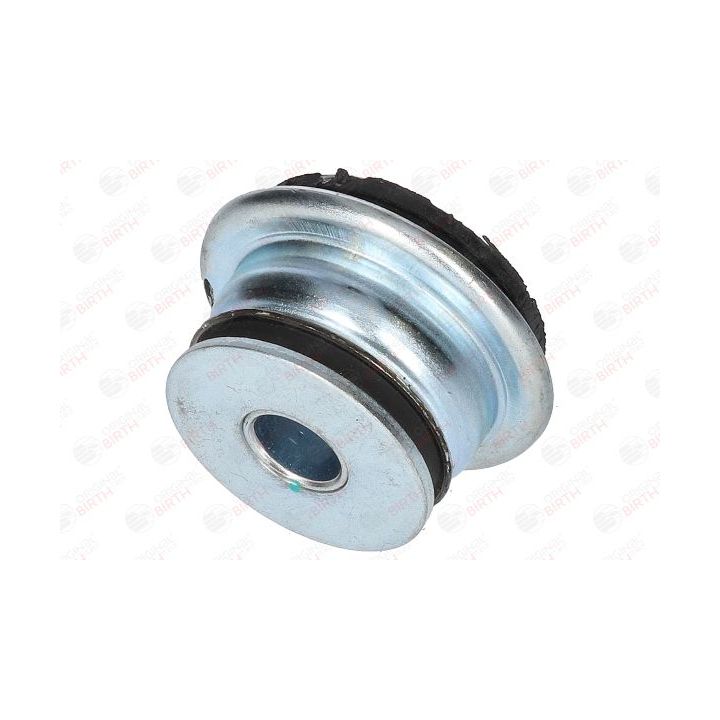 Stebulės laikiklio įvorė BIRTH 5732