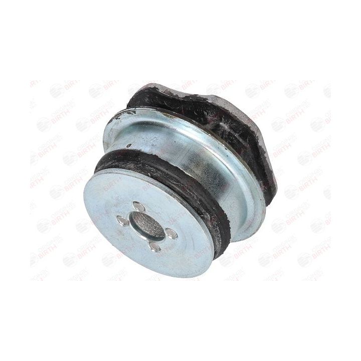 Stebulės laikiklio įvorė BIRTH 5733