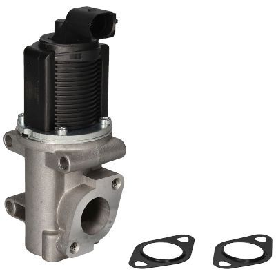 ERG vožtuvas BIRTH 8819