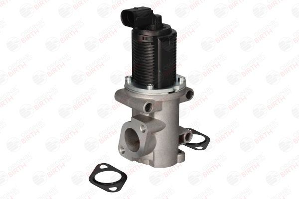 ERG vožtuvas BIRTH 8819