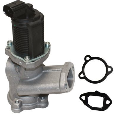 ERG vožtuvas BIRTH 8822