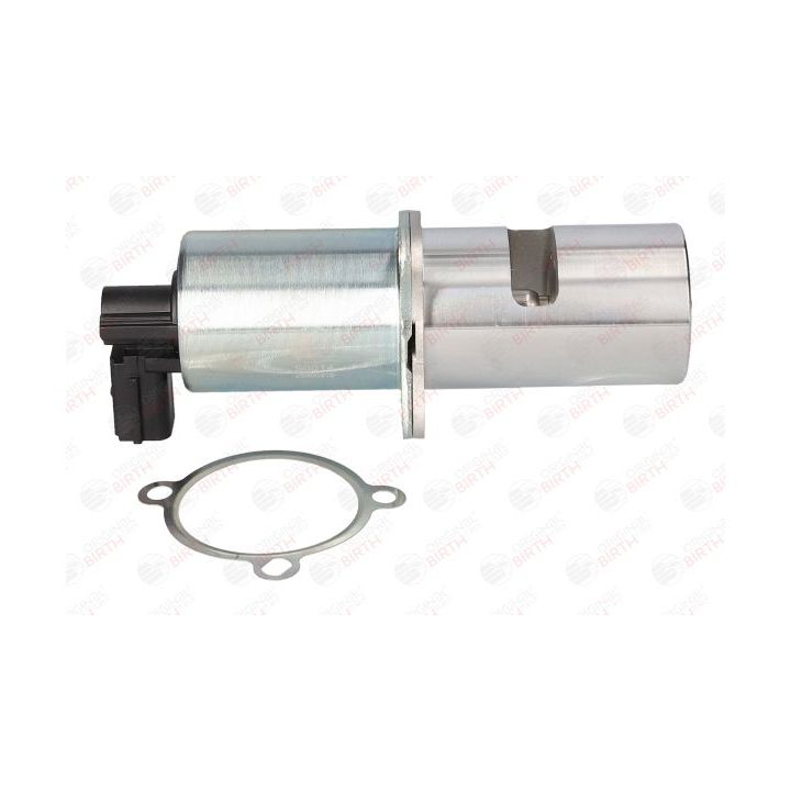 ERG vožtuvas BIRTH 90014