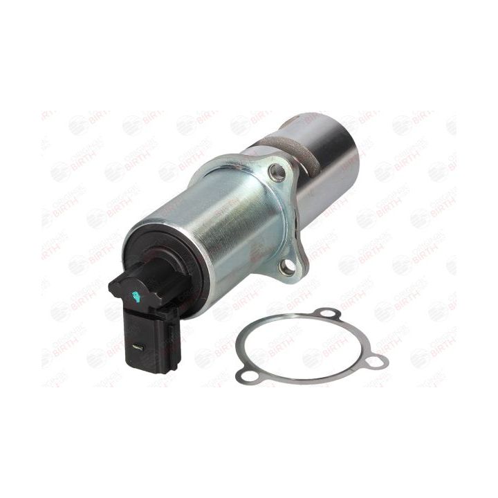 ERG vožtuvas BIRTH 90014