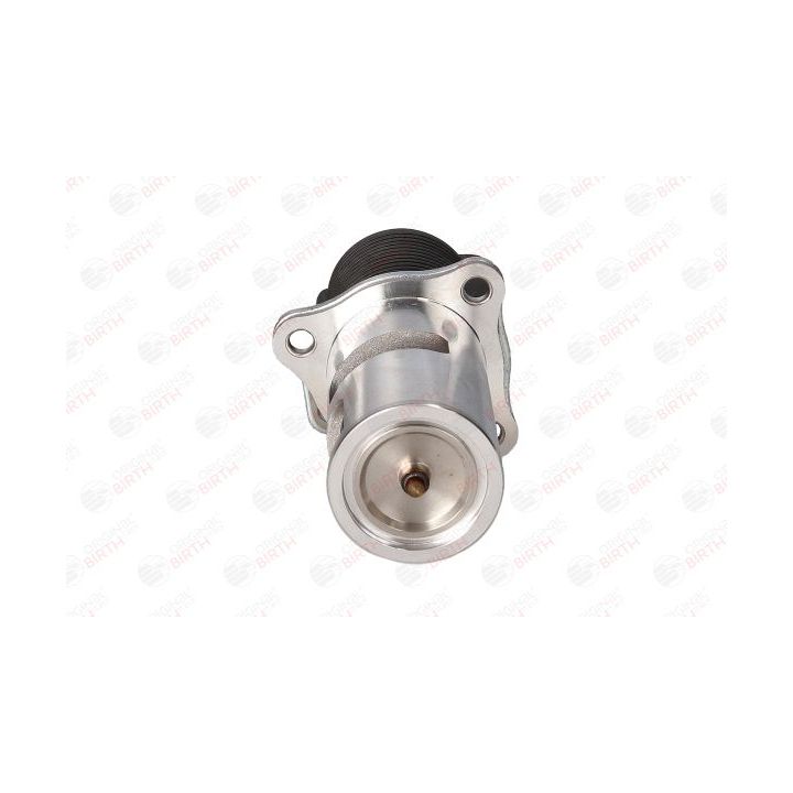 ERG vožtuvas BIRTH 90018