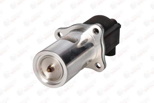 ERG vožtuvas BIRTH 90018