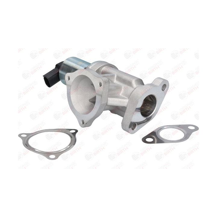 ERG vožtuvas BIRTH 90022