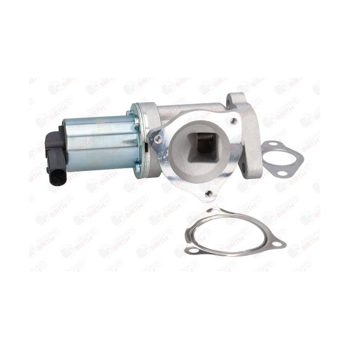 ERG vožtuvas BIRTH 90022