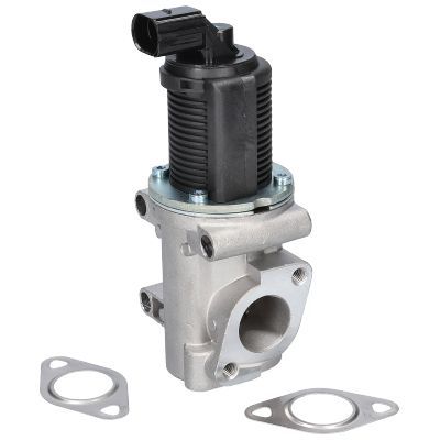 ERG vožtuvas BIRTH 90038