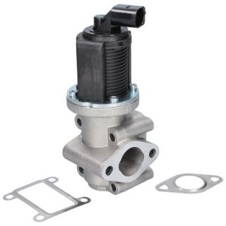 ERG vožtuvas BIRTH 90039