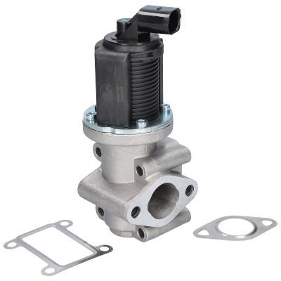 ERG vožtuvas BIRTH 90039