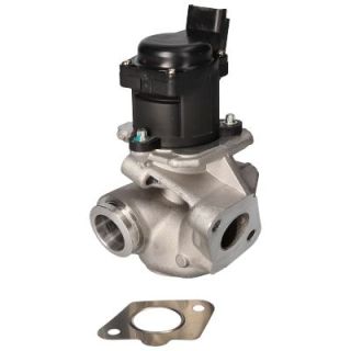 ERG vožtuvas BIRTH 90058