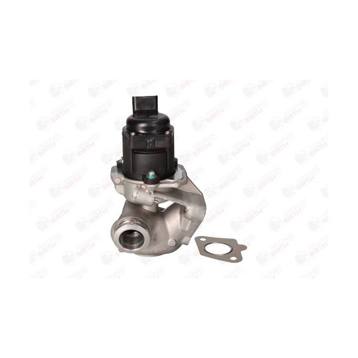 ERG vožtuvas BIRTH 90058