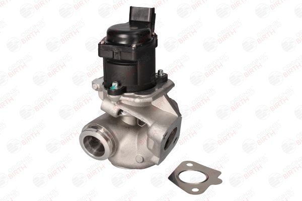 ERG vožtuvas BIRTH 90058