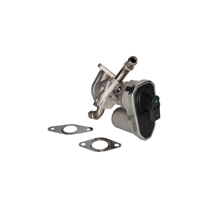 ERG vožtuvas BIRTH 90060