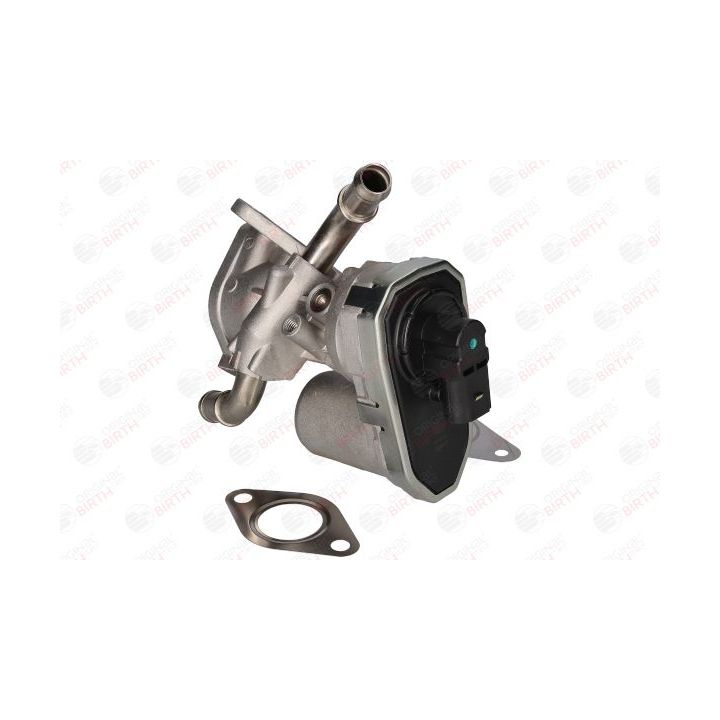 ERG vožtuvas BIRTH 90060