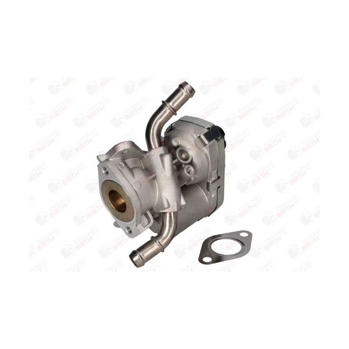 ERG vožtuvas BIRTH 90060