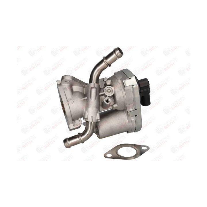 ERG vožtuvas BIRTH 90060