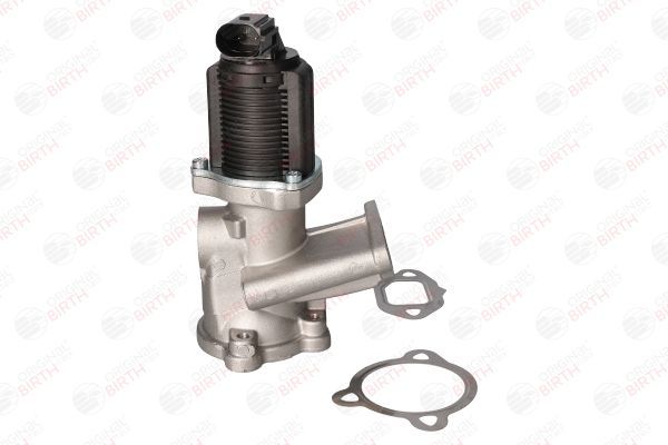 ERG vožtuvas BIRTH 90061