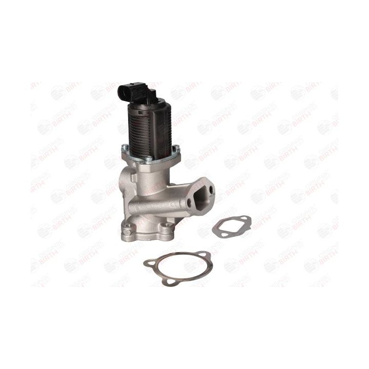 ERG vožtuvas BIRTH 90061