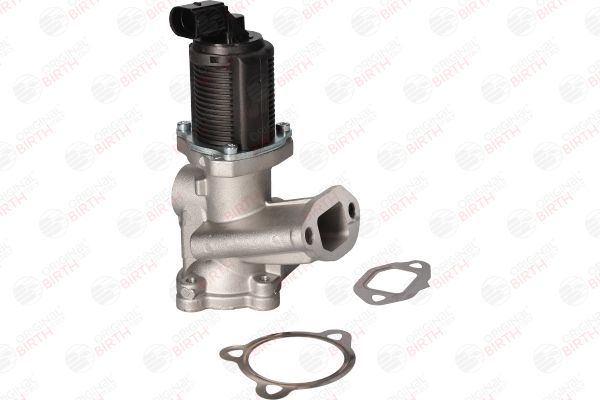 ERG vožtuvas BIRTH 90061