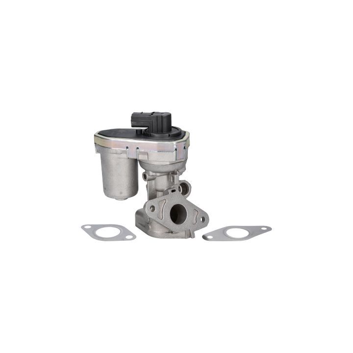 ERG vožtuvas BIRTH 90063