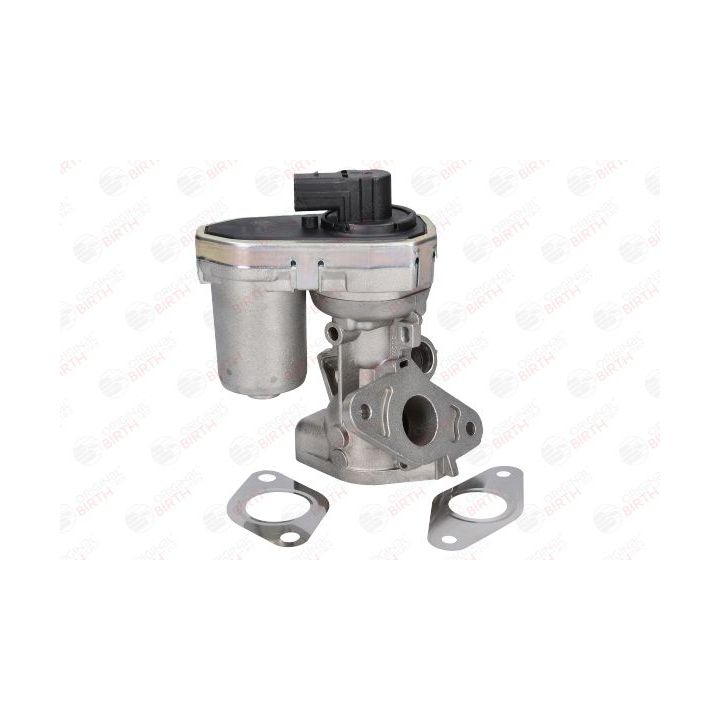 ERG vožtuvas BIRTH 90063