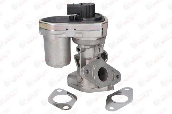 ERG vožtuvas BIRTH 90063