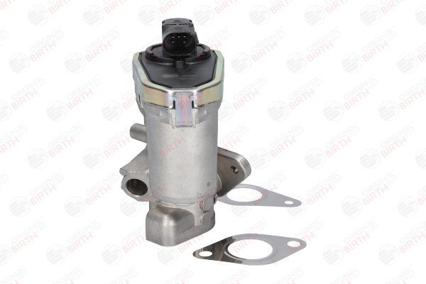 ERG vožtuvas BIRTH 90063