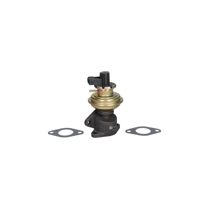 ERG vožtuvas BIRTH 90066