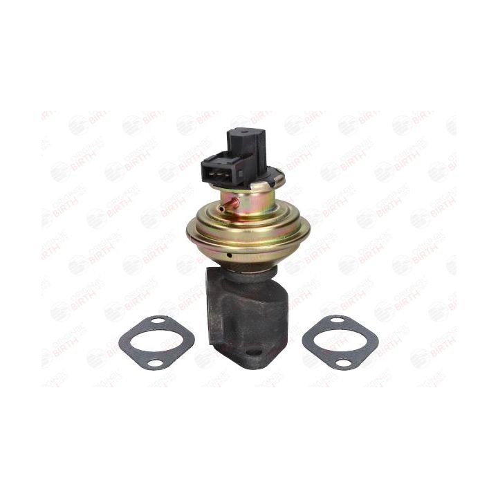 ERG vožtuvas BIRTH 90066