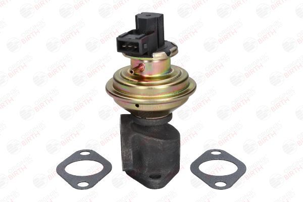 ERG vožtuvas BIRTH 90066