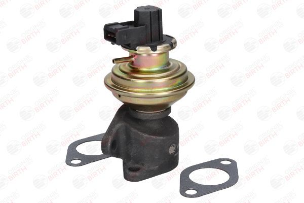 ERG vožtuvas BIRTH 90066