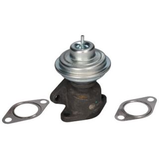 ERG vožtuvas BIRTH 90068