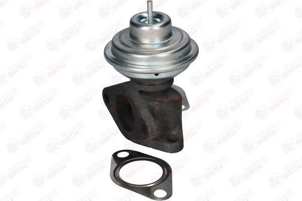 ERG vožtuvas BIRTH 90068