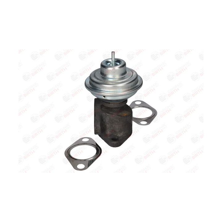 ERG vožtuvas BIRTH 90068