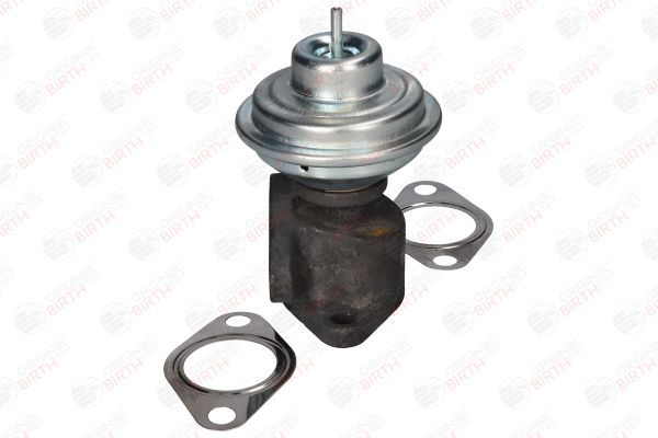 ERG vožtuvas BIRTH 90068