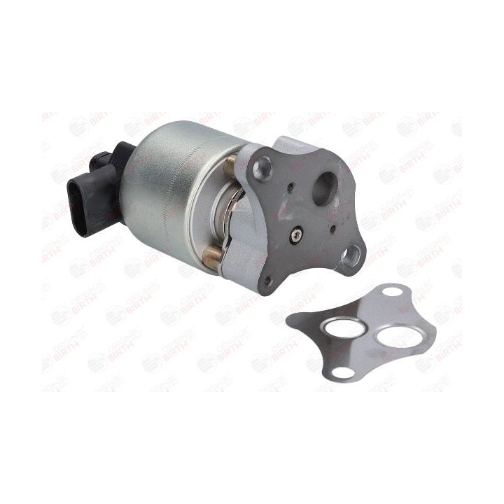 ERG vožtuvas BIRTH 90070