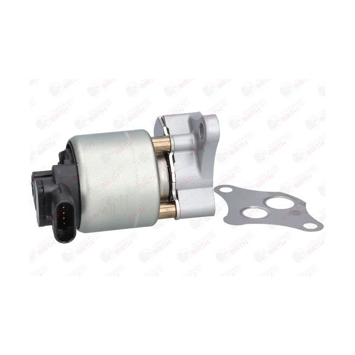 ERG vožtuvas BIRTH 90070