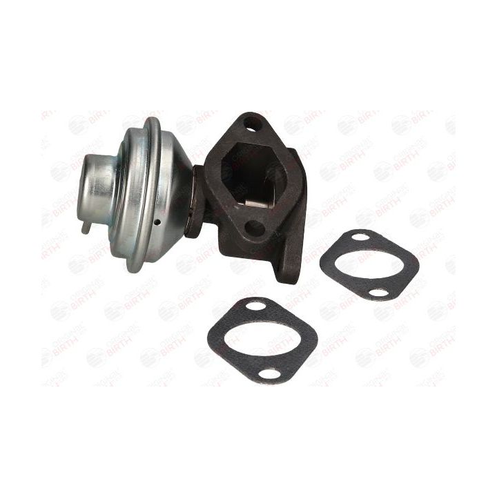 ERG vožtuvas BIRTH 90071