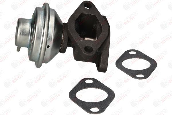 ERG vožtuvas BIRTH 90071