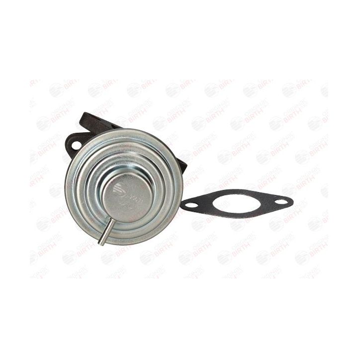 ERG vožtuvas BIRTH 90071