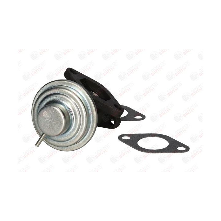 ERG vožtuvas BIRTH 90071